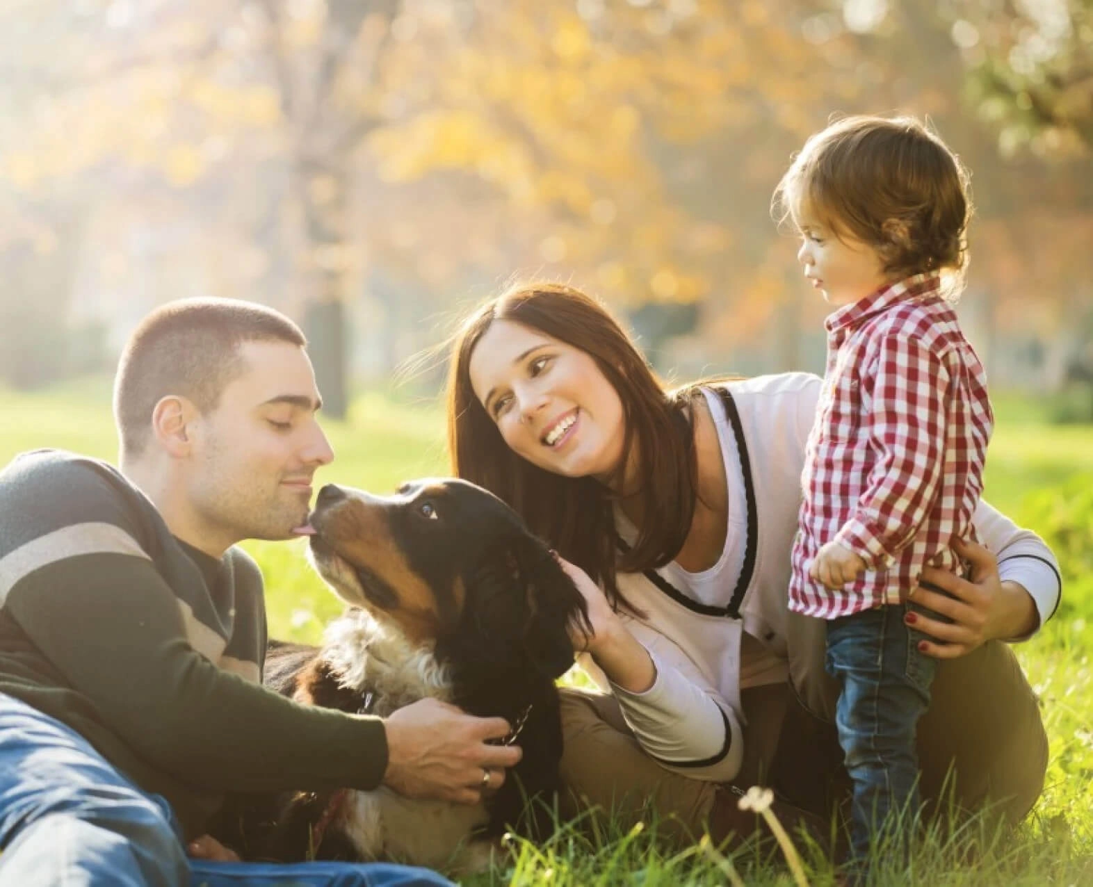 A young family with a dog in a park. (photo)